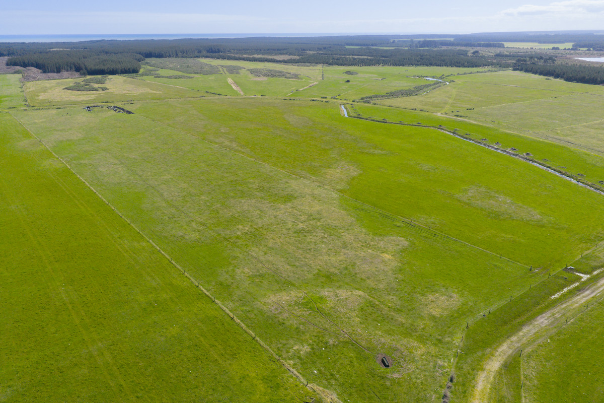 Ideal Dairy Support & Cattle Wintering Country