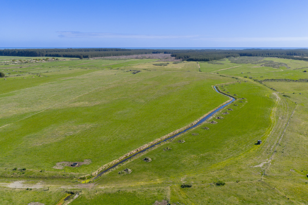 Ideal Dairy Support & Cattle Wintering Country