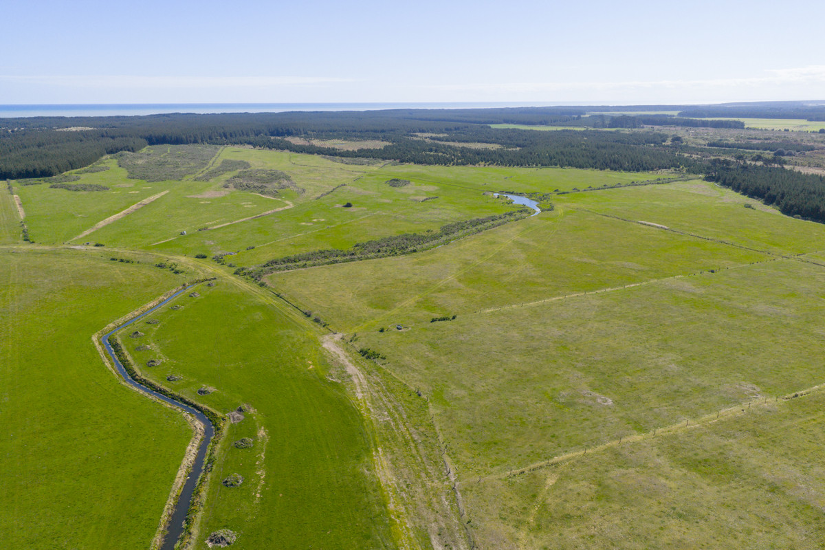 Ideal Dairy Support & Cattle Wintering Country
