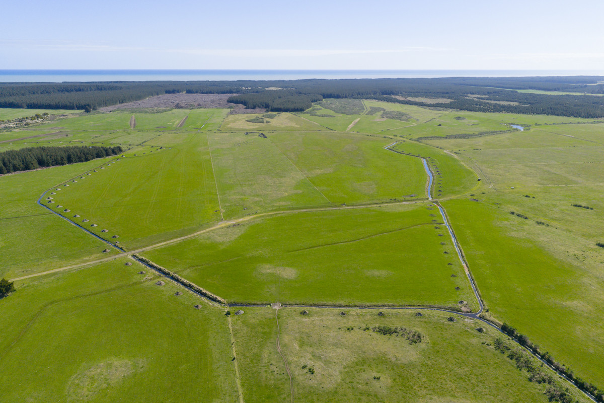Ideal Dairy Support & Cattle Wintering Country