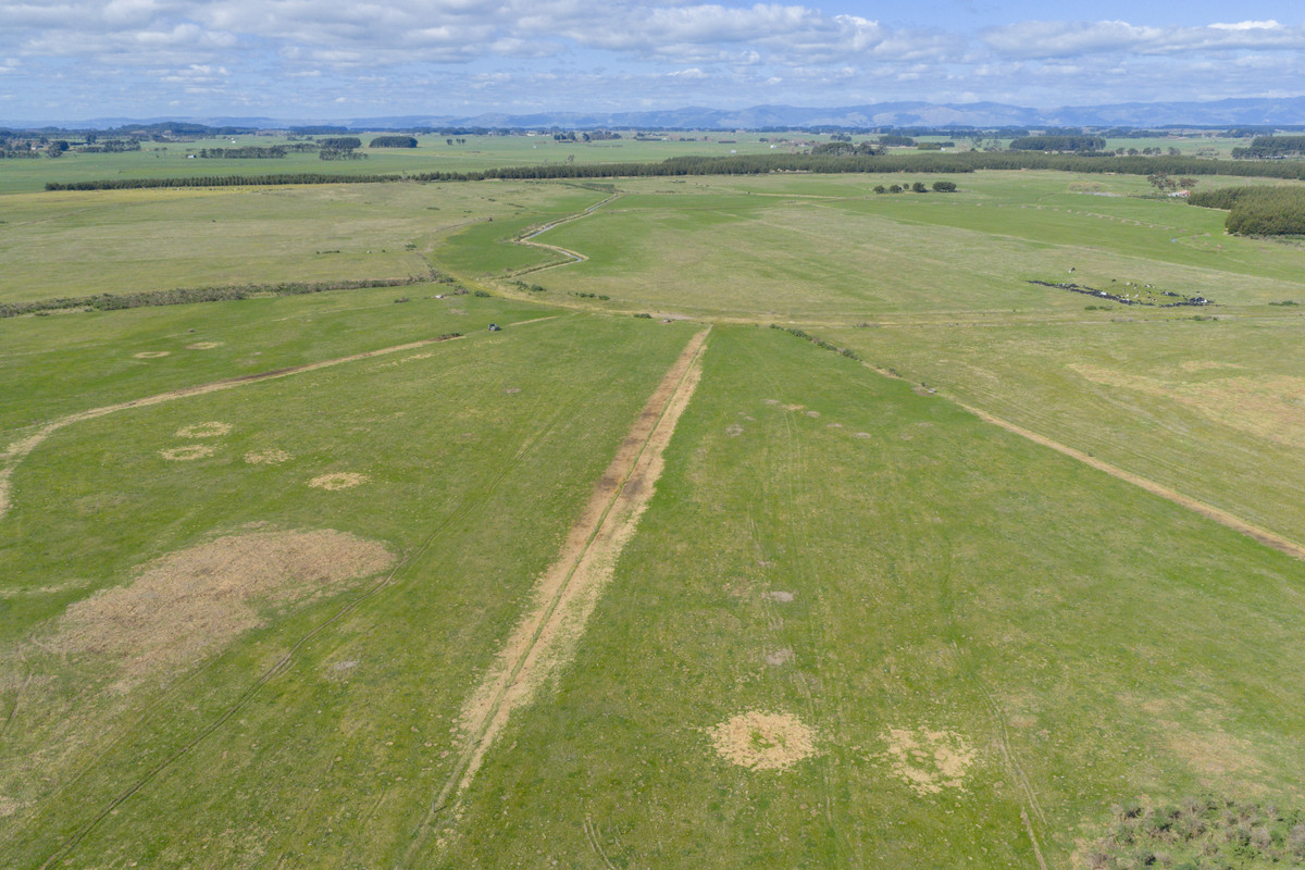 Ideal Dairy Support & Cattle Wintering Country
