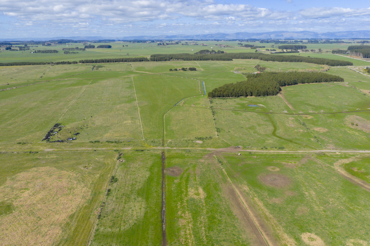 Ideal Dairy Support & Cattle Wintering Country
