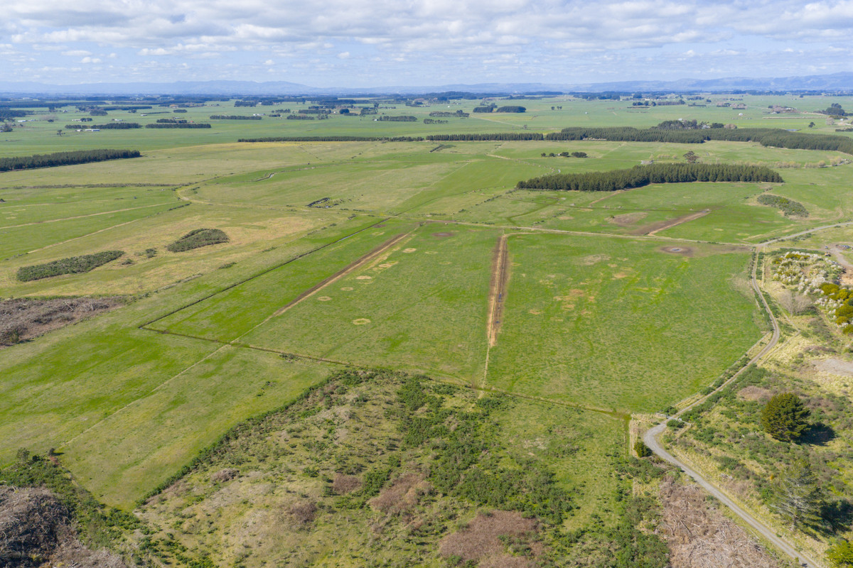 Ideal Dairy Support & Cattle Wintering Country