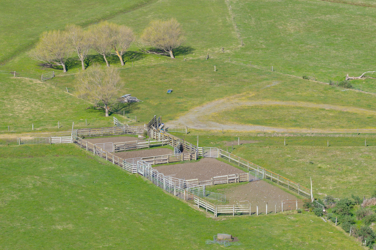 Ideal Dairy Support & Cattle Wintering Country
