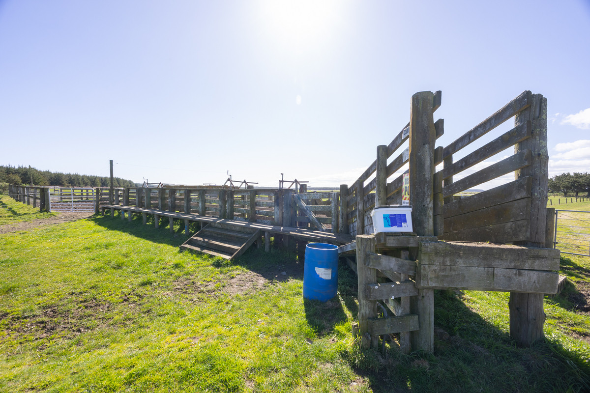 Ideal Dairy Support & Cattle Wintering Country