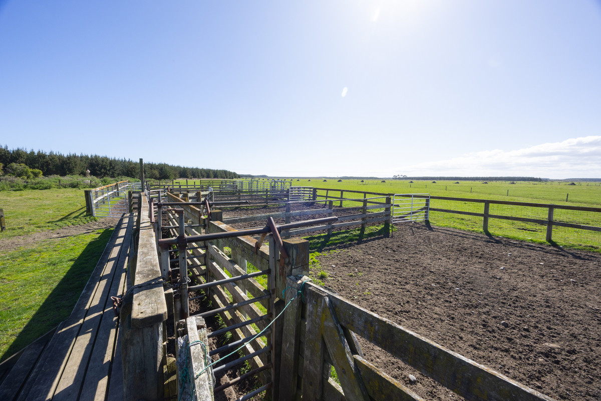 Ideal Dairy Support & Cattle Wintering Country