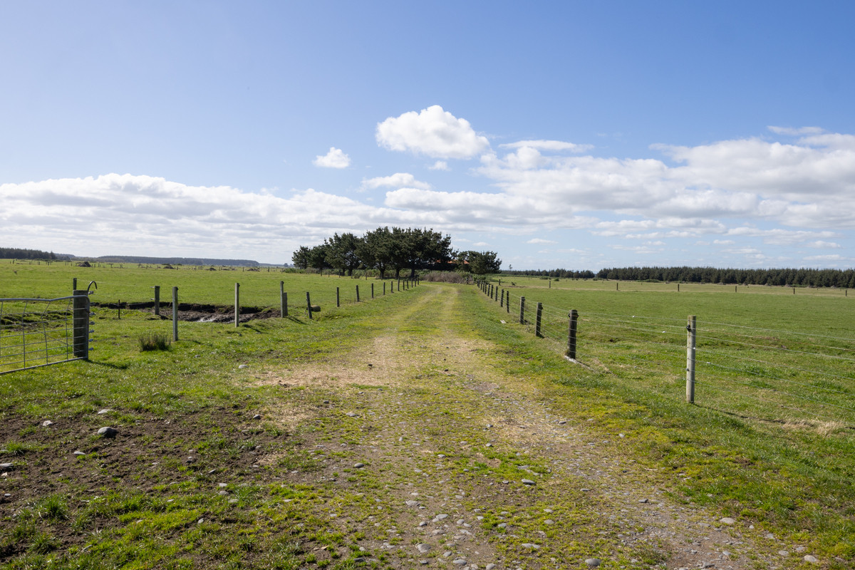 Ideal Dairy Support & Cattle Wintering Country