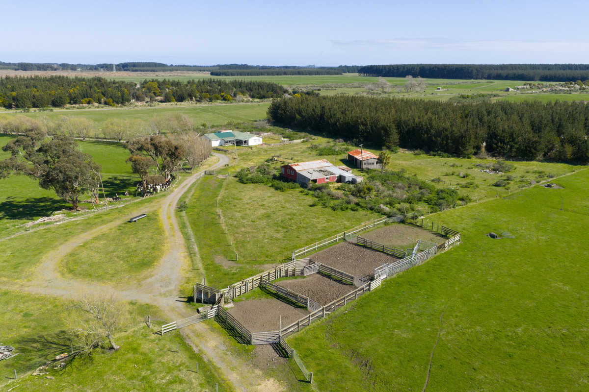 Ideal Dairy Support & Cattle Wintering Country