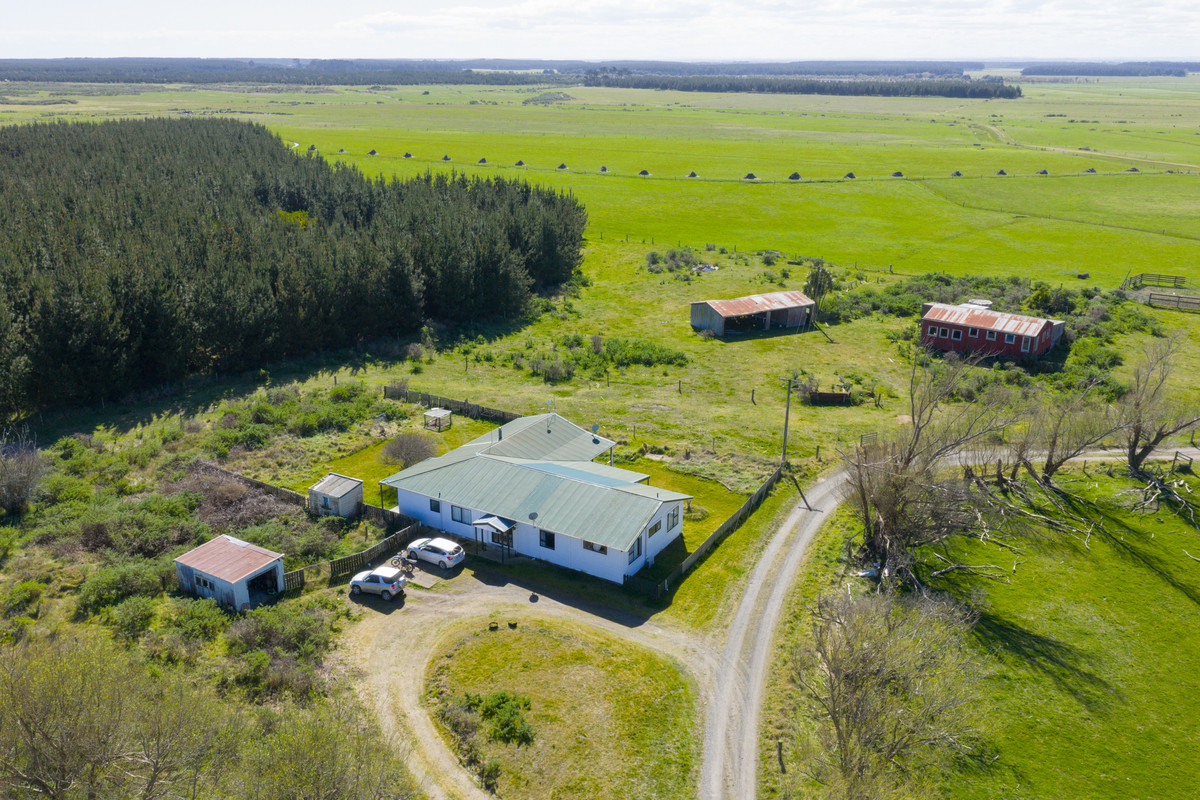 Ideal Dairy Support & Cattle Wintering Country