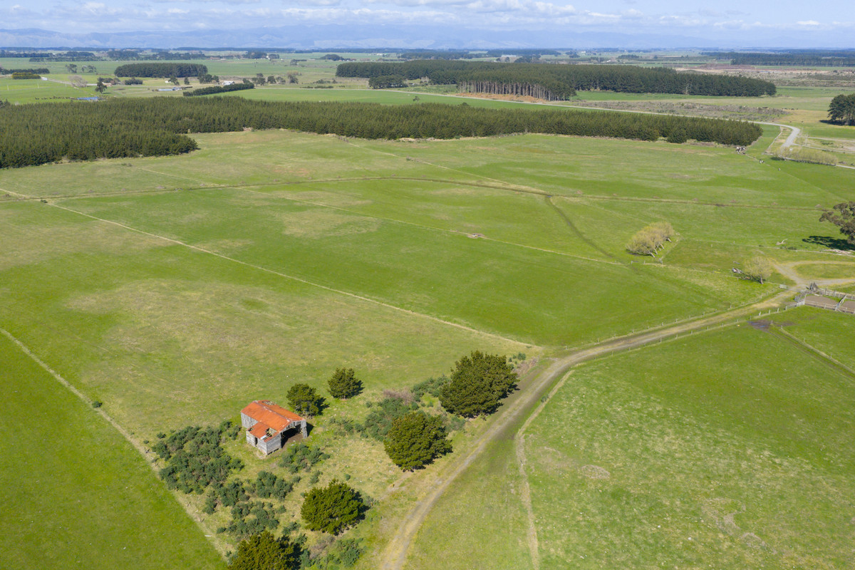 Ideal Dairy Support & Cattle Wintering Country