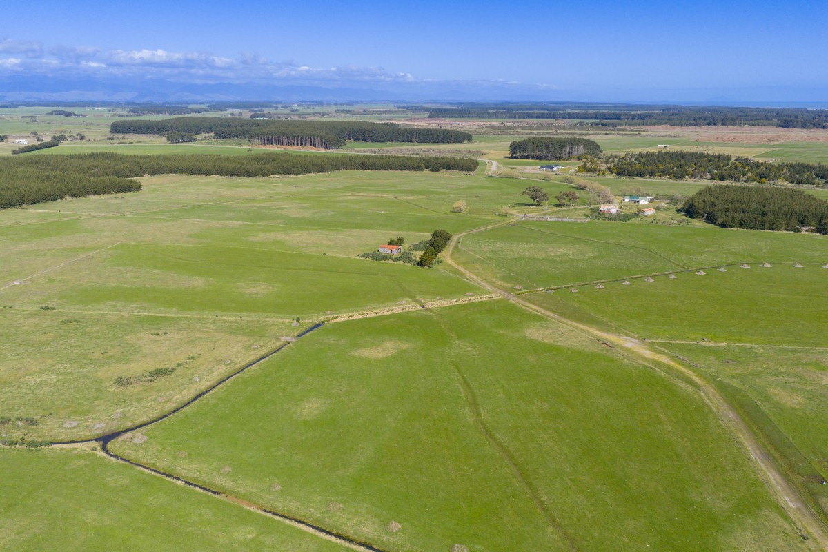 Ideal Dairy Support & Cattle Wintering Country