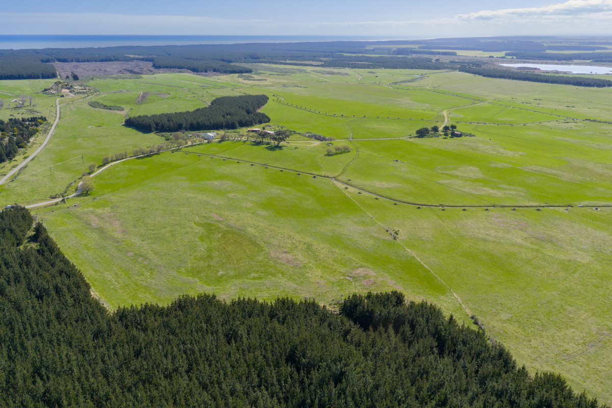 Ideal Dairy Support & Cattle Wintering Country