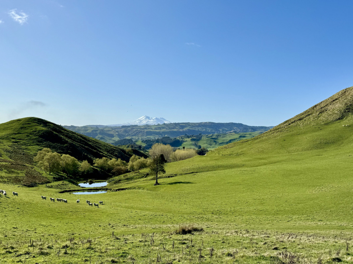 Kincardine – Every Corner Leads To A Pleasant Surprise