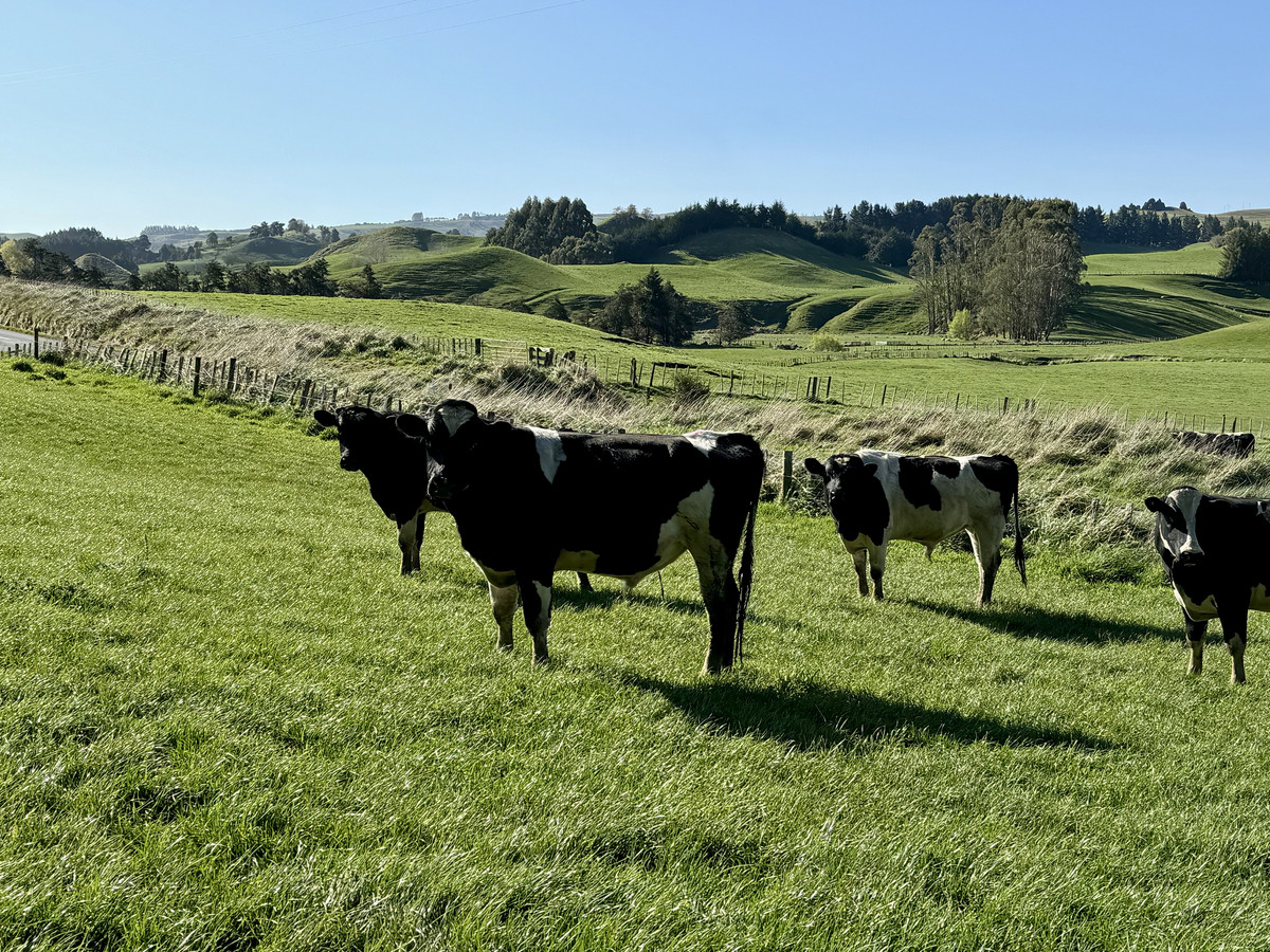 Kincardine – Every Corner Leads To A Pleasant Surprise