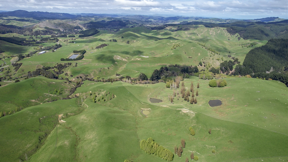 Glendonald Station – Reinvestment Exemplified - 975ha