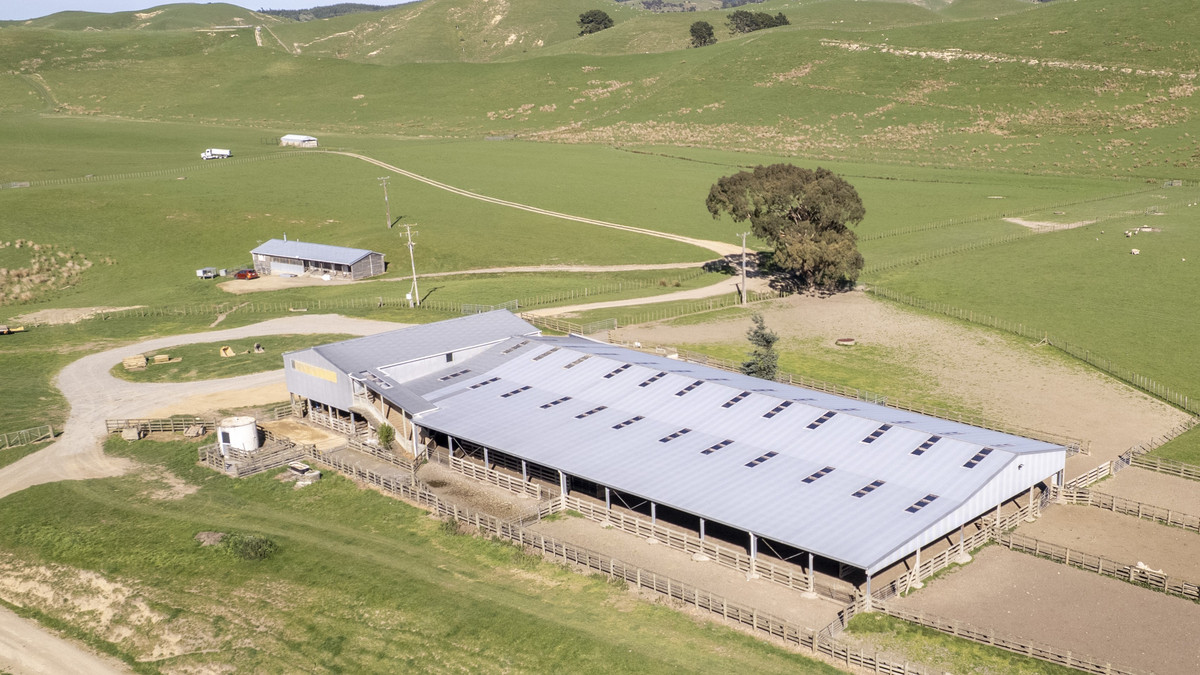 Glendonald Station – Reinvestment Exemplified - 975ha