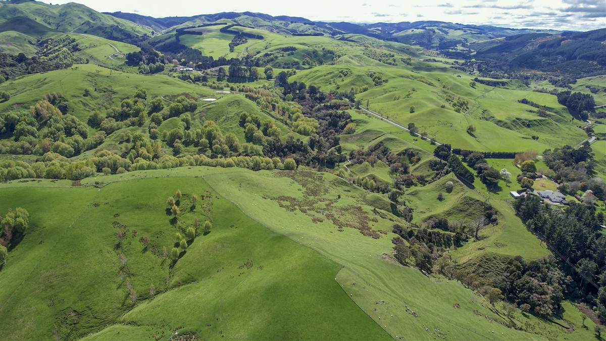 Glendonald Station – Reinvestment Exemplified - 975ha