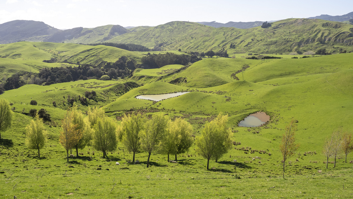 Glendonald Station – Reinvestment Exemplified - 975ha