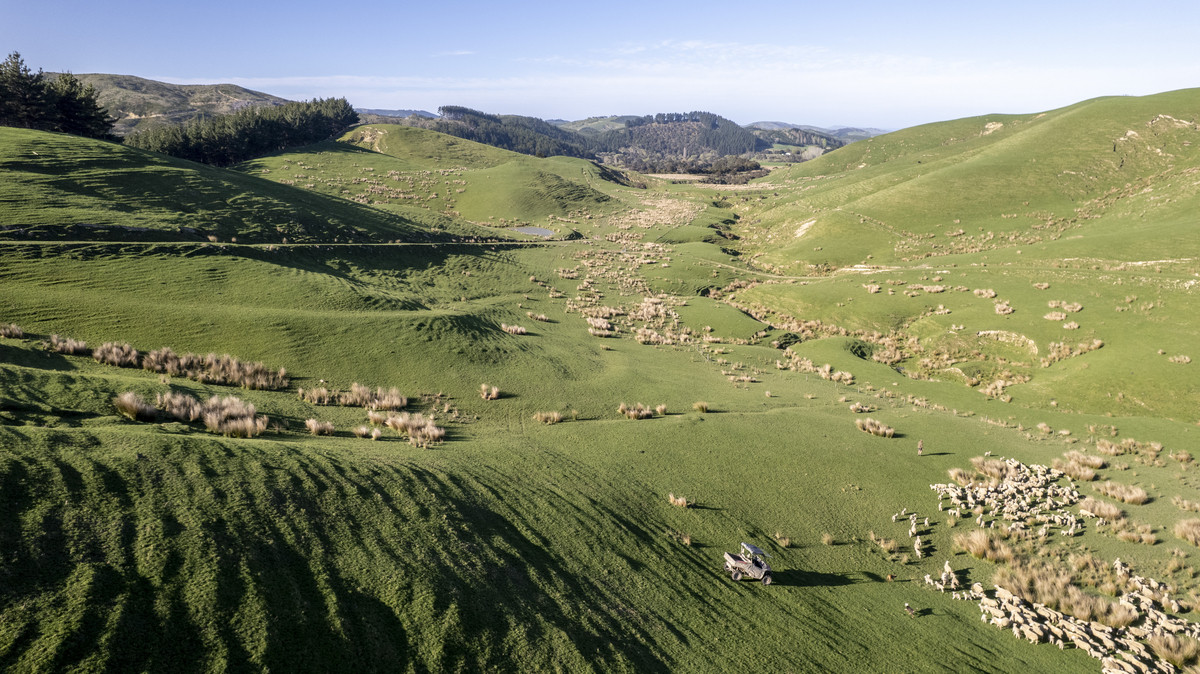 Glendonald Station – Reinvestment Exemplified - 975ha