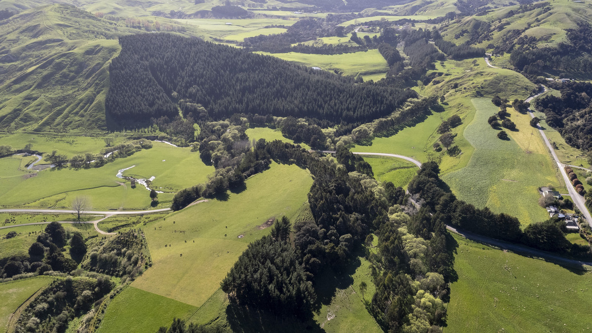 Glendonald Station – Reinvestment Exemplified - 975ha