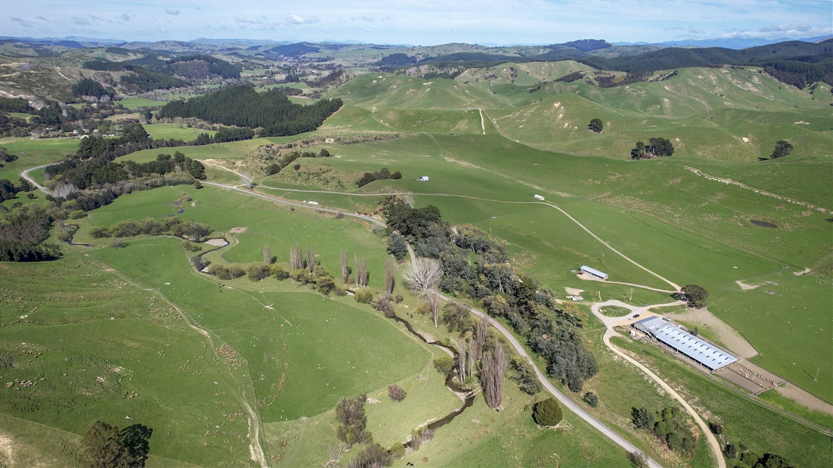 Glendonald Station – Reinvestment Exemplified - 975ha
