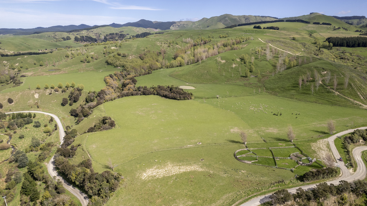 Glendonald Station – Reinvestment Exemplified - 975ha
