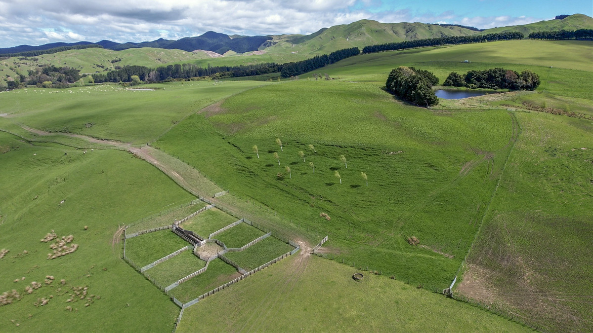 Glendonald Station – Reinvestment Exemplified - 975ha