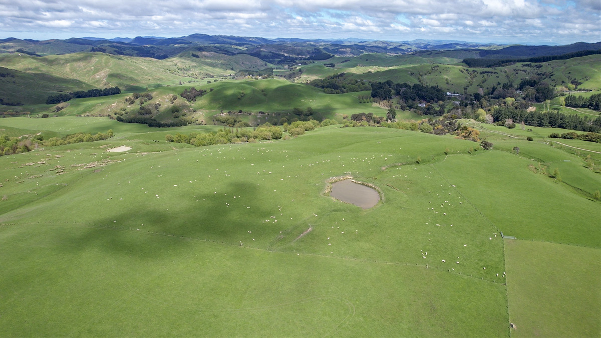 Glendonald Station – Reinvestment Exemplified - 975ha