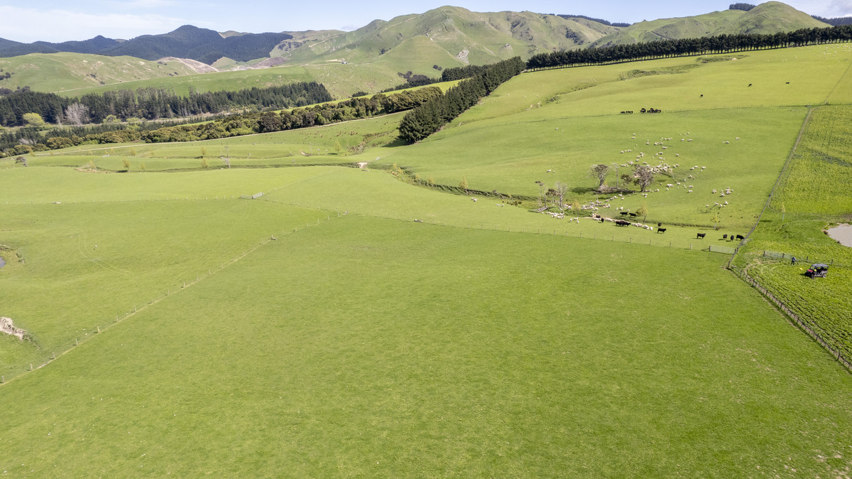 Glendonald Station – Reinvestment Exemplified - 975ha