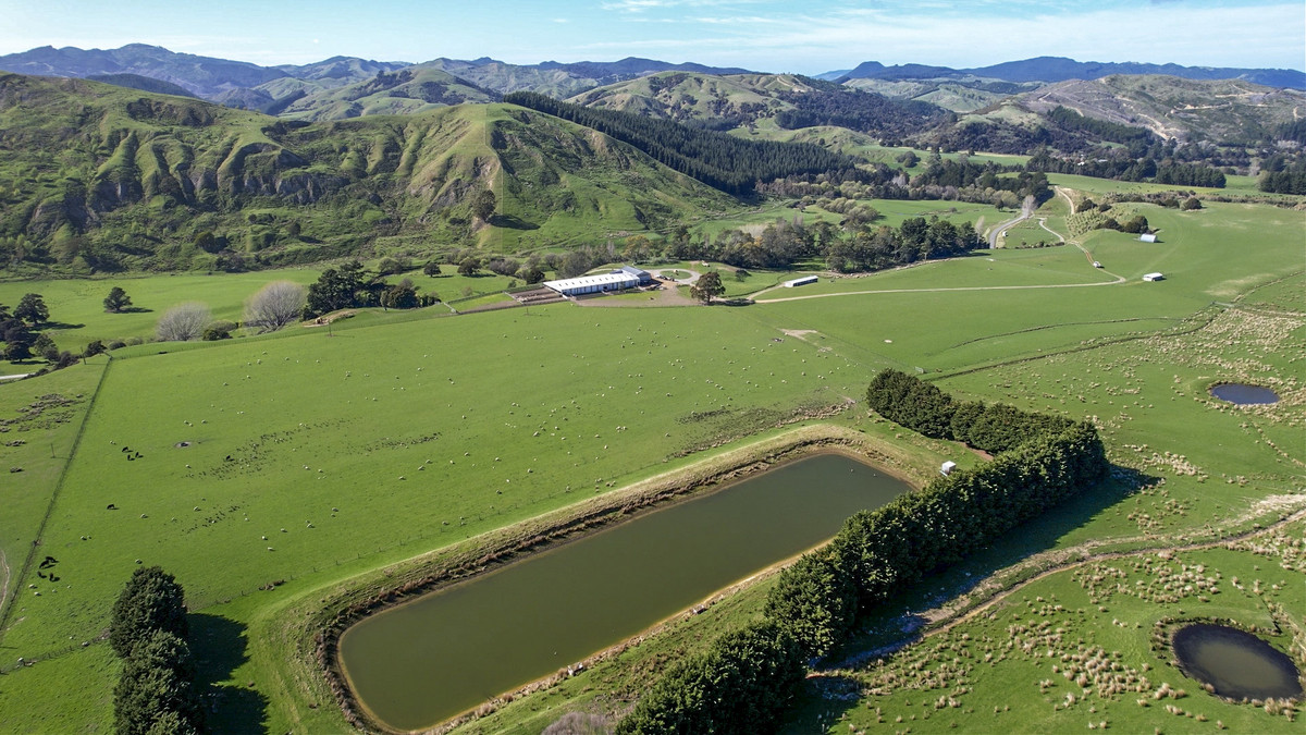 Glendonald Station – Reinvestment Exemplified - 975ha