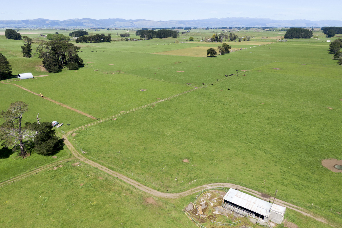 Nice Balance Of Soils On 52.4ha