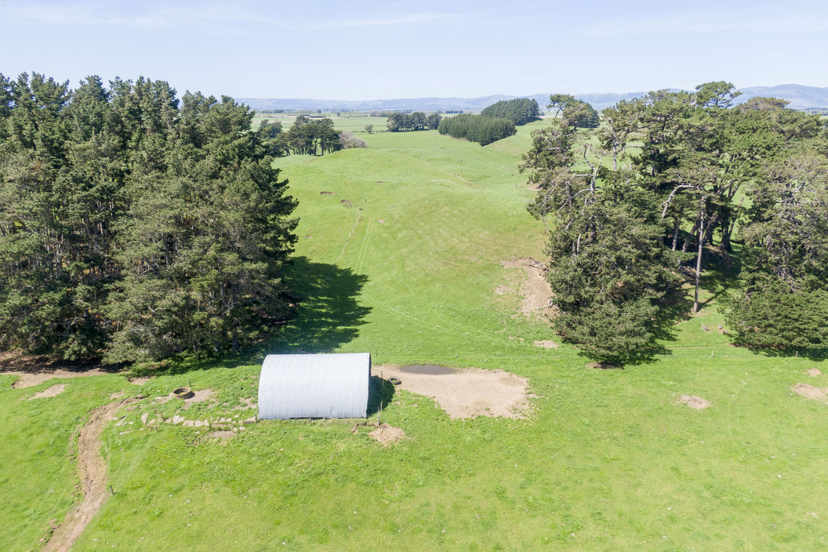 Nice Balance Of Soils On 52.4ha