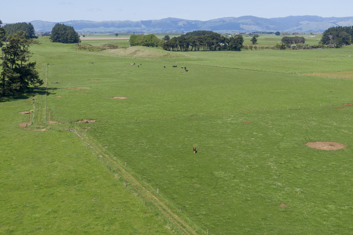 Nice Balance Of Soils On 52.4ha