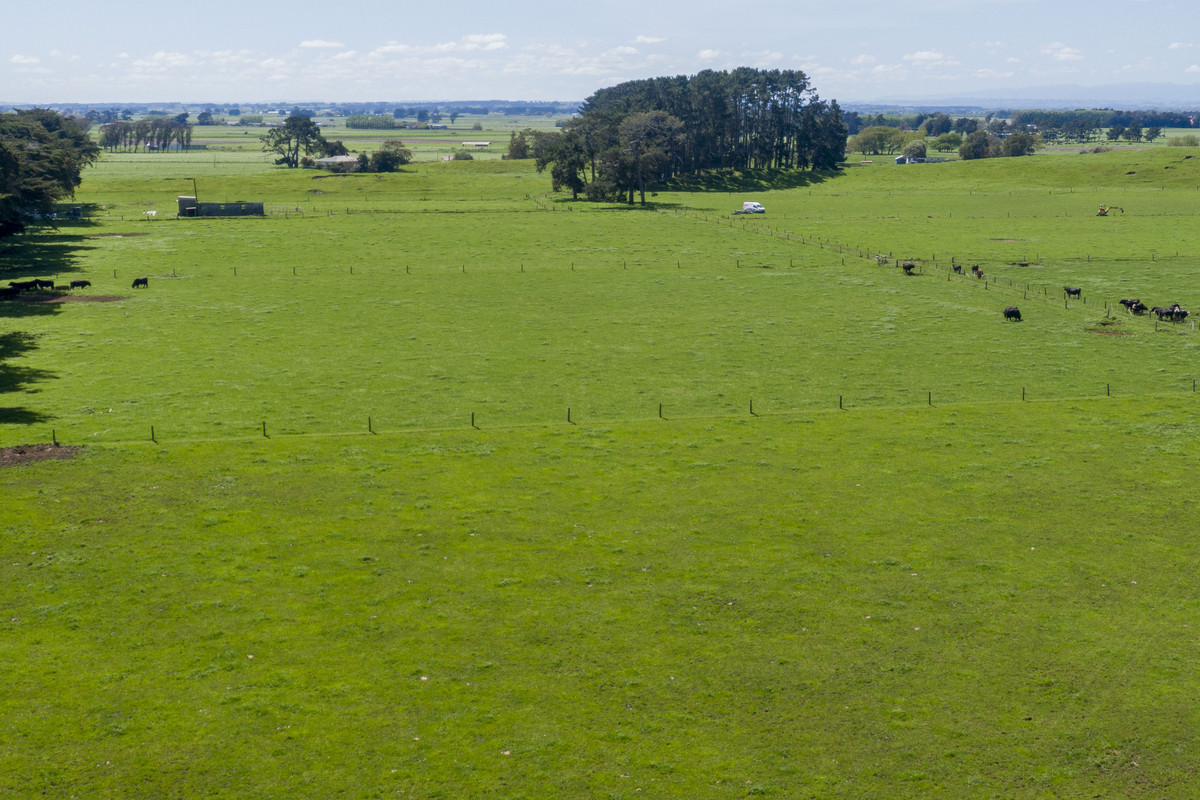 Nice Balance Of Soils On 52.4ha