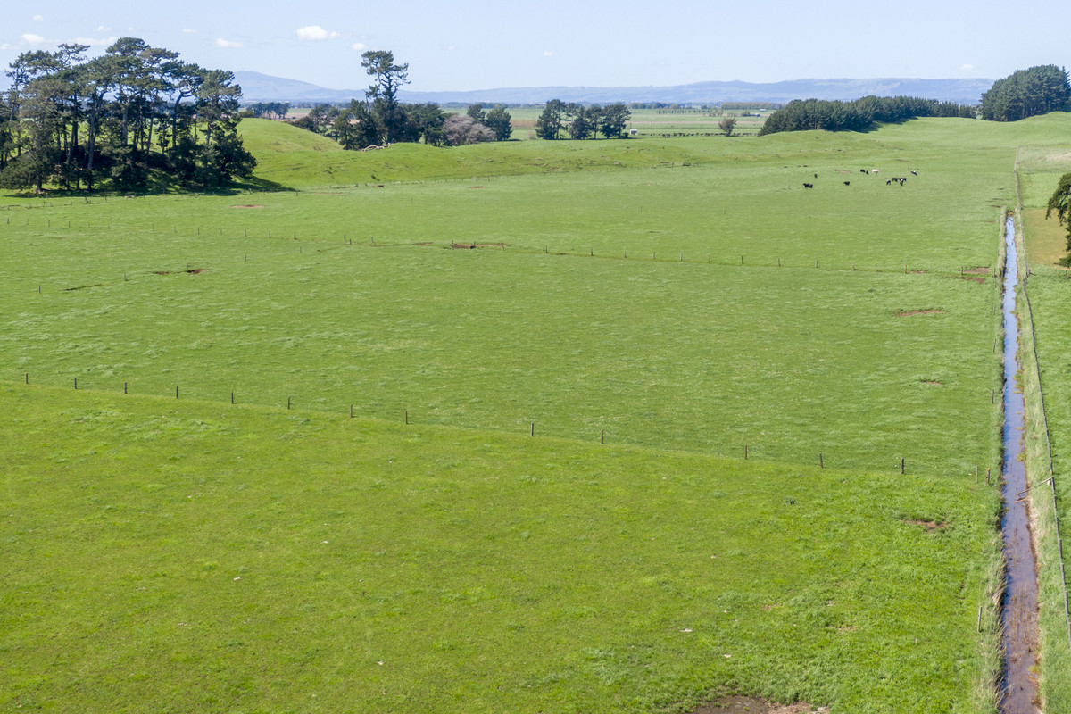 Nice Balance Of Soils On 52.4ha