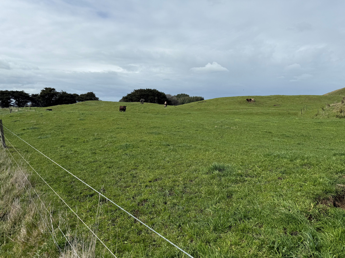 Nice Balance Of Soils On 52.4ha