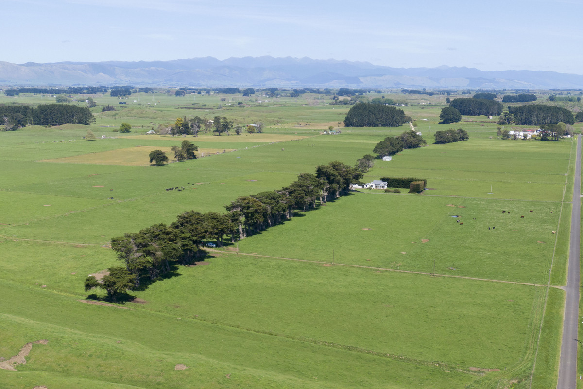 Nice Balance Of Soils On 52.4ha