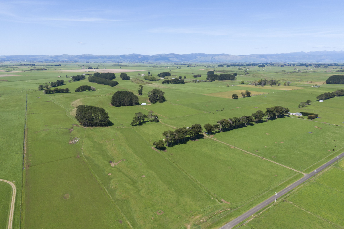 Nice Balance Of Soils On 52.4ha