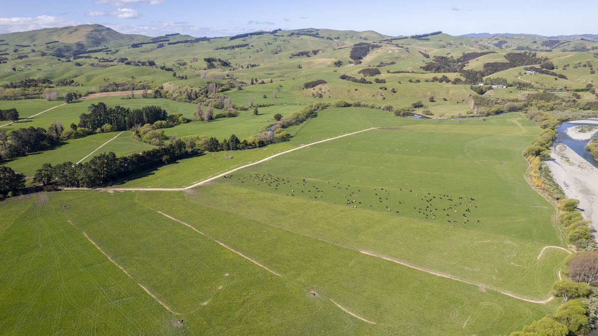 Productive, Irrigated Dairy Unit Close to Masterton Productive, Irrigated Dairy Unit Close to Masterton