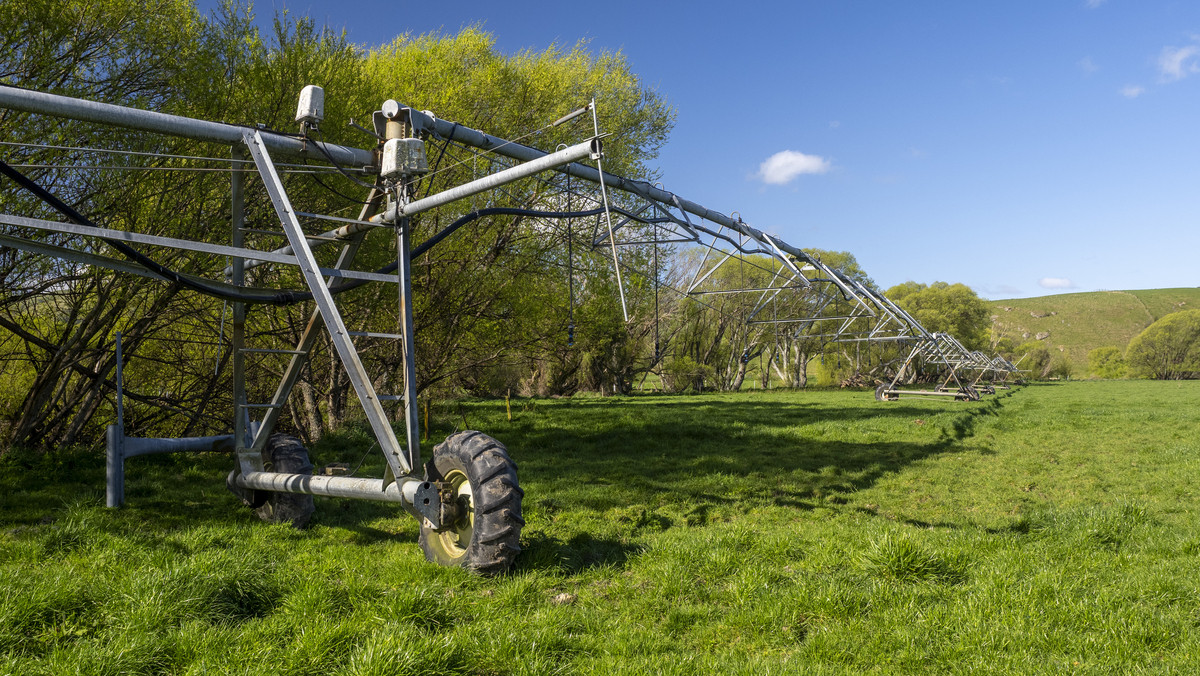 Productive, Irrigated Dairy Unit Close to Masterton