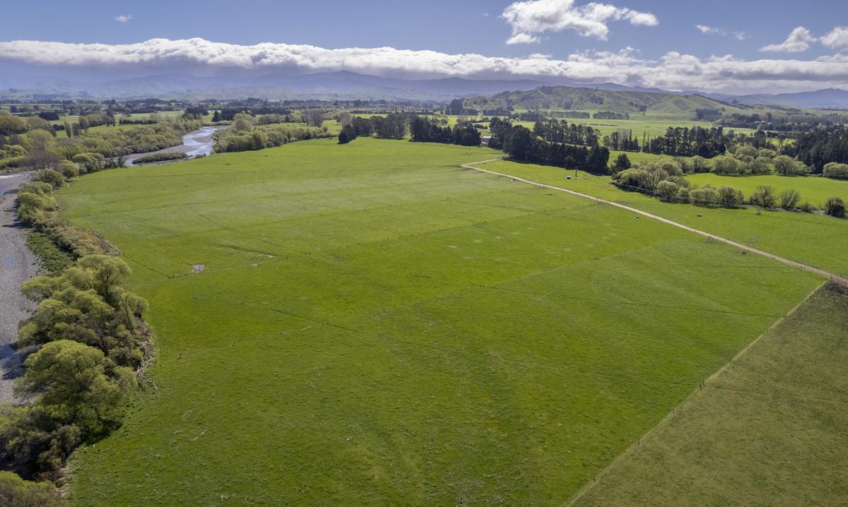 Productive, Irrigated Dairy Unit Close to Masterton