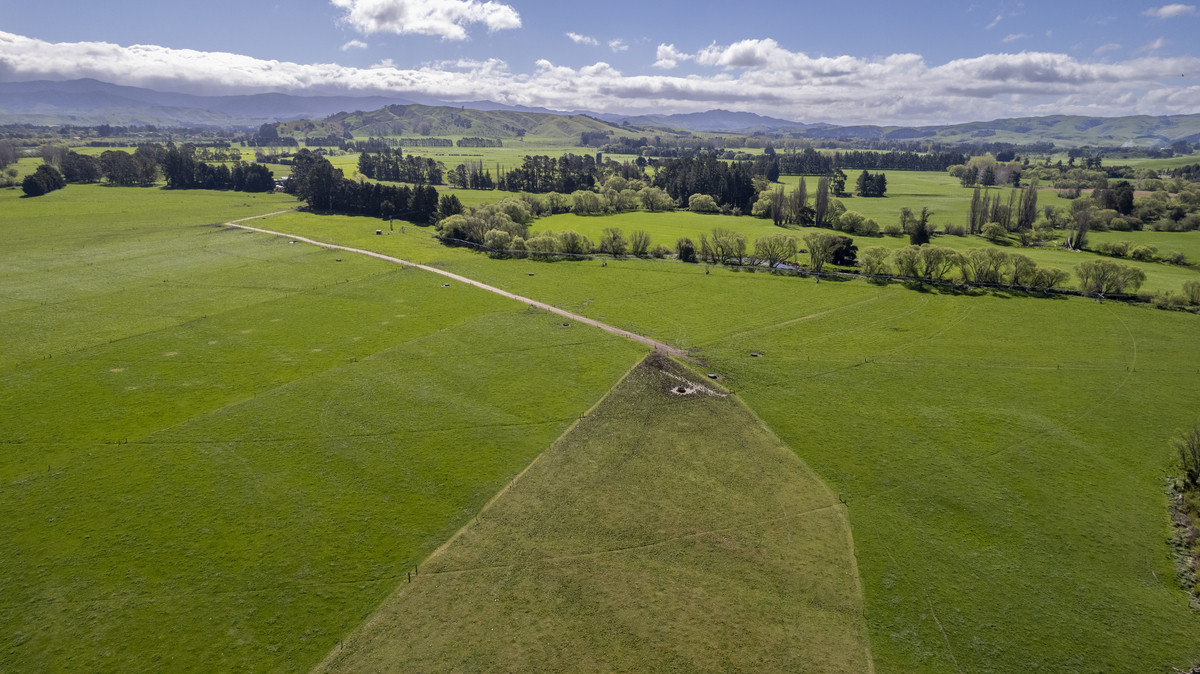 Productive, Irrigated Dairy Unit Close to Masterton