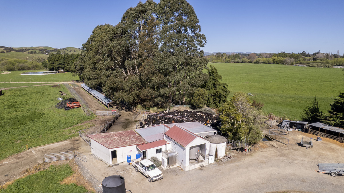 Productive, Irrigated Dairy Unit Close to Masterton