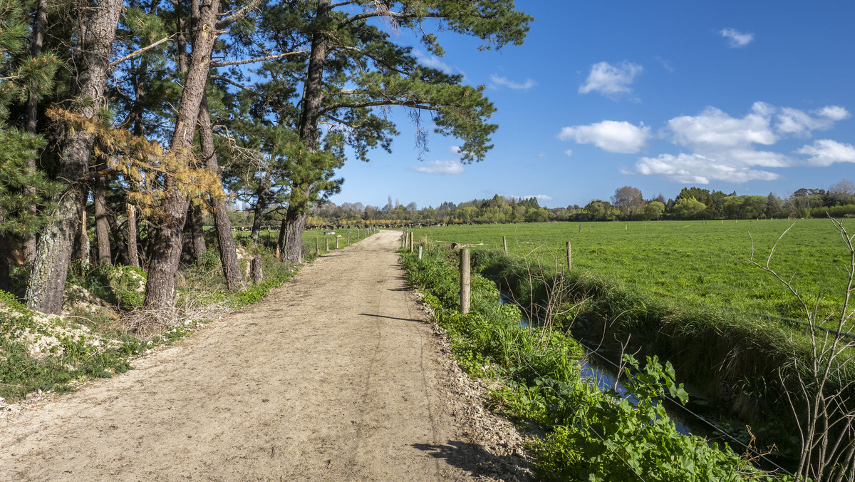 Productive, Irrigated Dairy Unit Close to Masterton