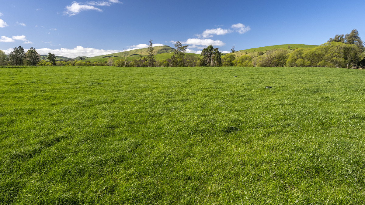 Productive, Irrigated Dairy Unit Close to Masterton