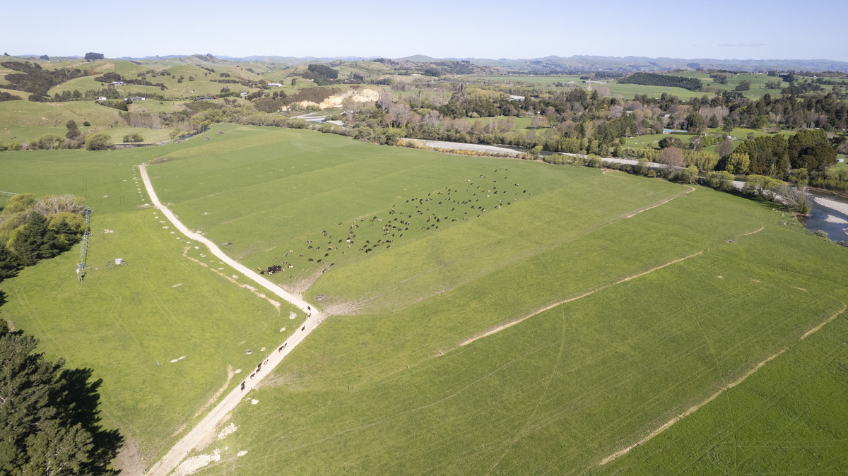 Productive, Irrigated Dairy Unit Close to Masterton