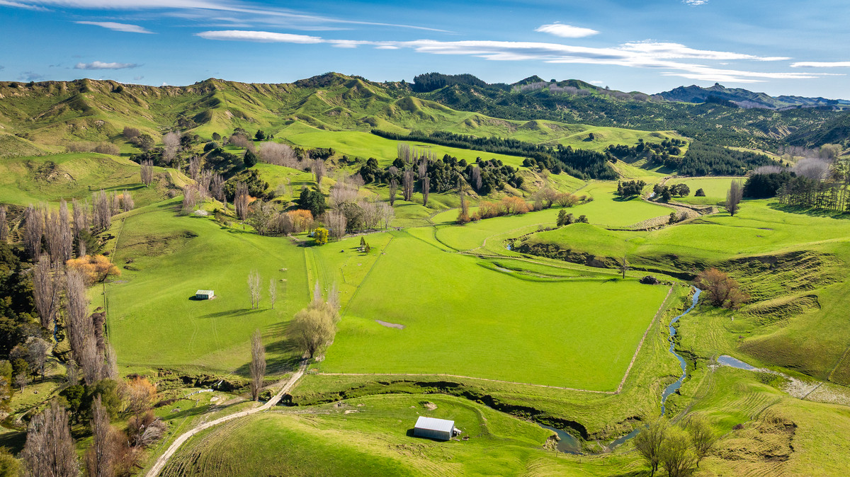 Well located 153 hectares – finishing & breeding