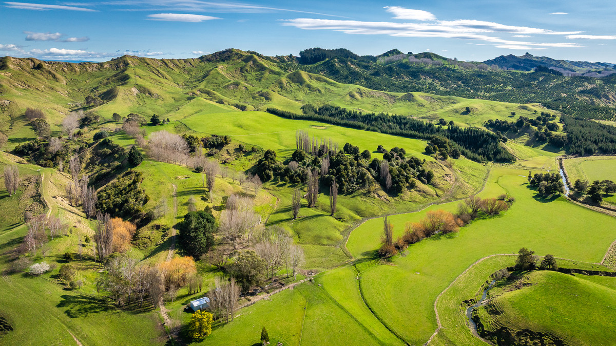Well located 153 hectares – finishing & breeding