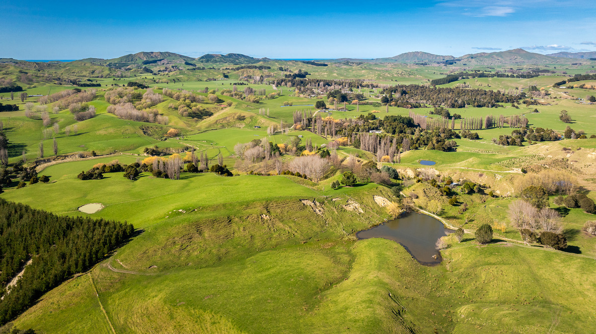 Well located 153 hectares – finishing & breeding
