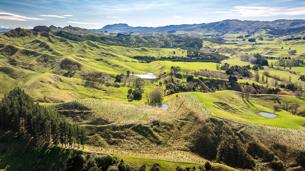 Well located 153 hectares – finishing & breeding